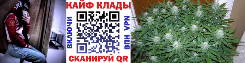 Виды наркотиков купить Петропавловск-Камчатский КОКАИН  Галлюциногенные грибы  Альфа ПВП  Марихуана  Мефедрон 