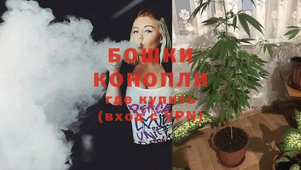 спайс Приозерск