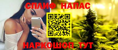 гидропоника Гусев