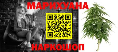гидропоника Гусев