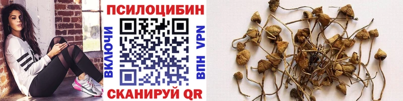 Псилоцибиновые грибы мухоморы OMG сайт Петропавловск-Камчатский продажа наркотиков