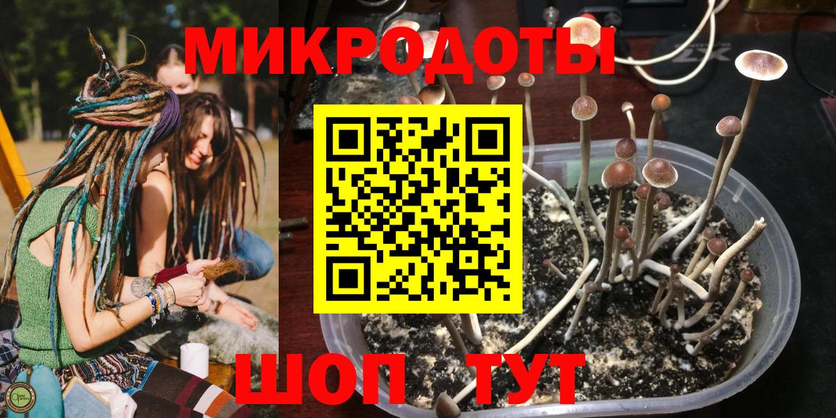 Псилоцибиновые грибы прущие грибы  Вход с VPN  Петропавловск-Камчатский 