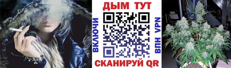 как найти наркотики  Петропавловск-Камчатский  Каннабис AK-47 
